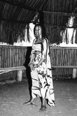 LEE HARRISON CREATIVE